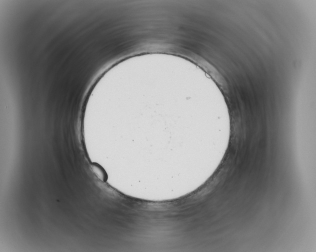 X0000111660904200908281107