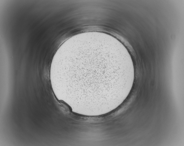 X0000111660905200908281107