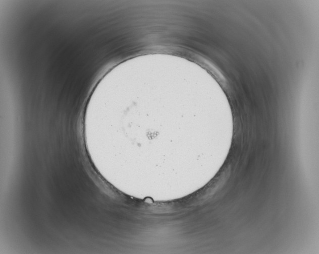 X0000111660907200908281107