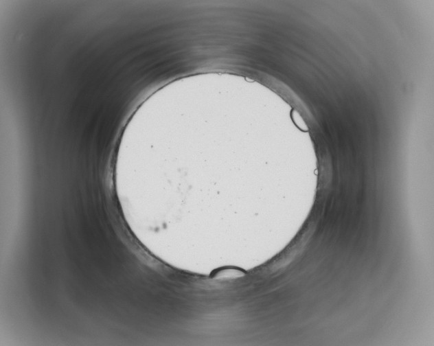 X0000111660908200908281107