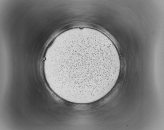 X0000111660909200908281107