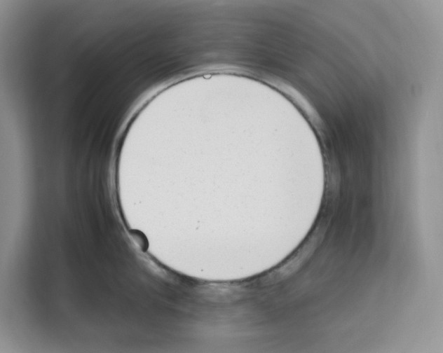 X0000111660910200908281107