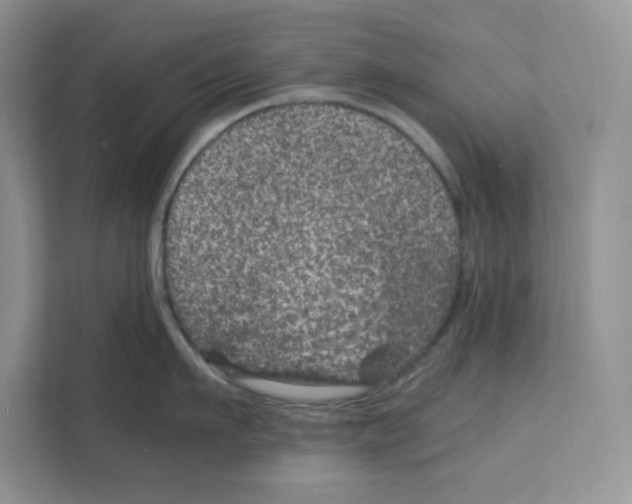 X0000111660911200908281107