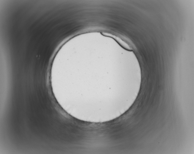 X0000111660912200908281107