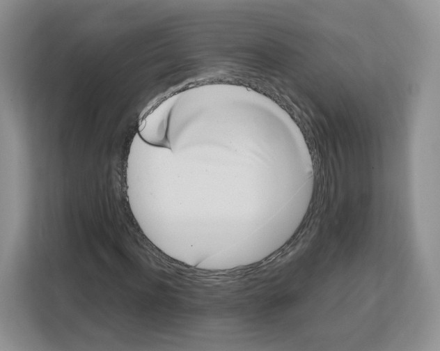 X0000111660916200908281106