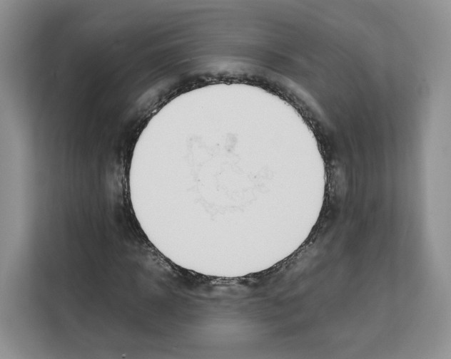 X0000111660918200908281106