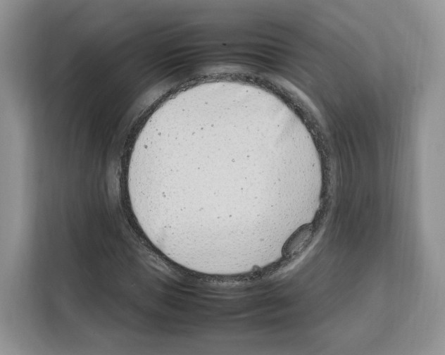 X0000111660921200908281106