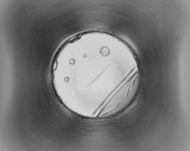 X0000111660924200908281106