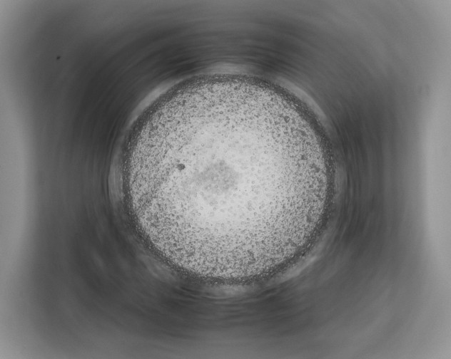 X0000111660925200908281106