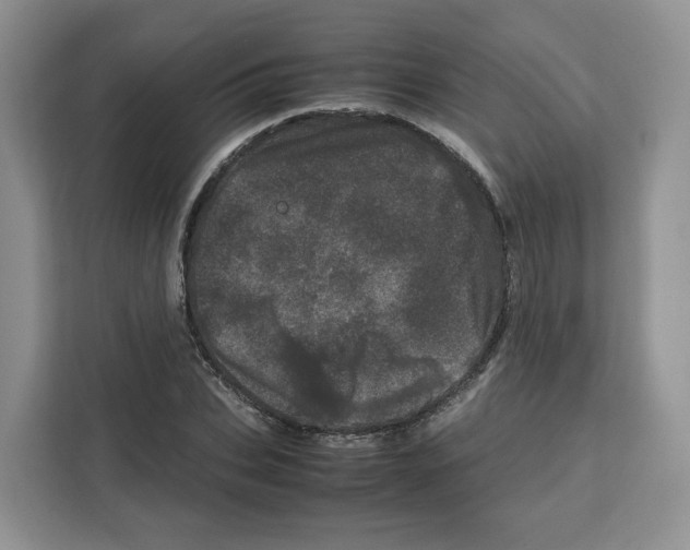 X0000111660927200908281106