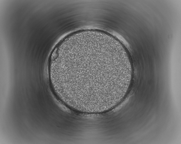 X0000111660934200908281106