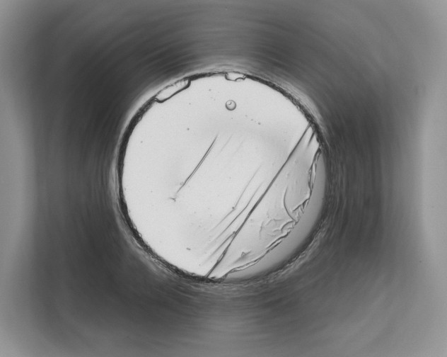 X0000111660936200908281106