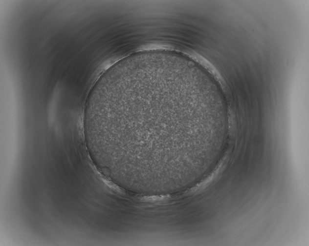 X0000111660937200908281106