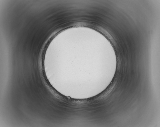 X0000111660939200908281106