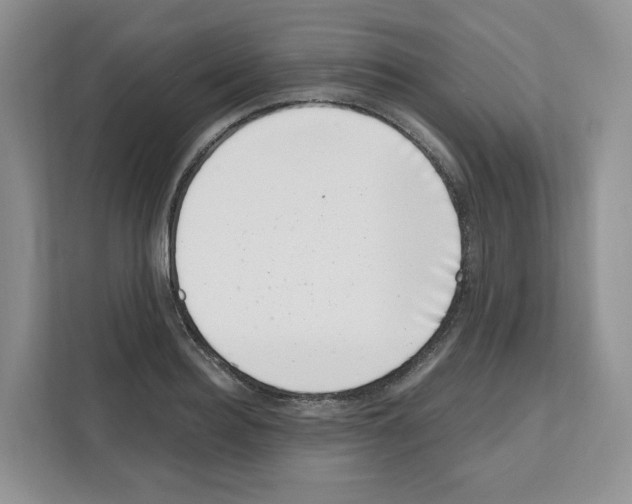 X0000111660940200908281106