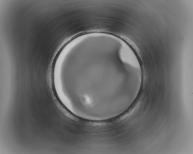 X0000111660941200908281106