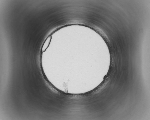 X0000111660942200908281106