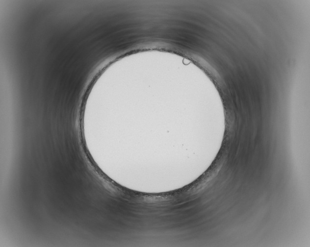 X0000111660943200908281106