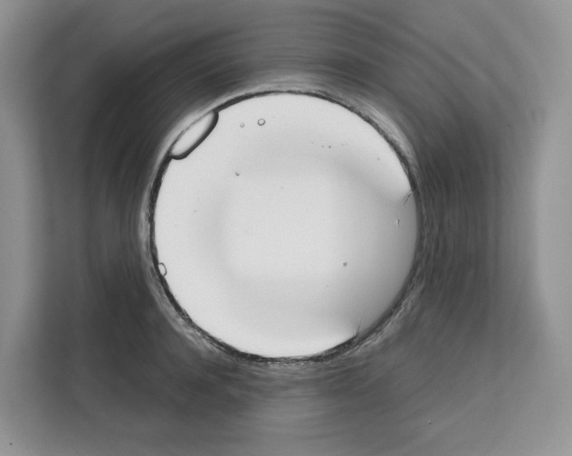 X0000111660944200908281106