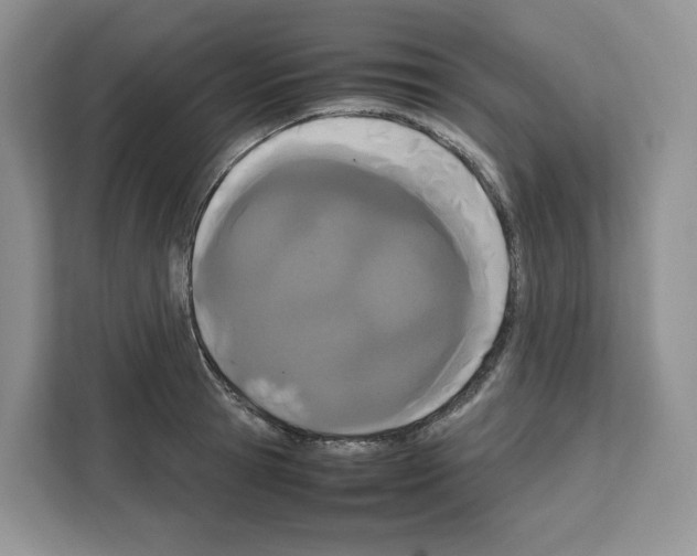 X0000111660945200908281107