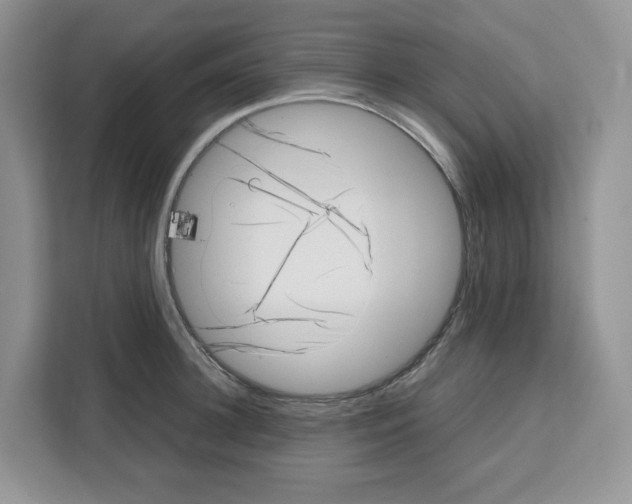 X0000111660948200908281107