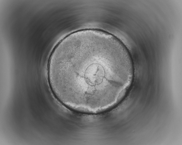 X0000111660950200908281107