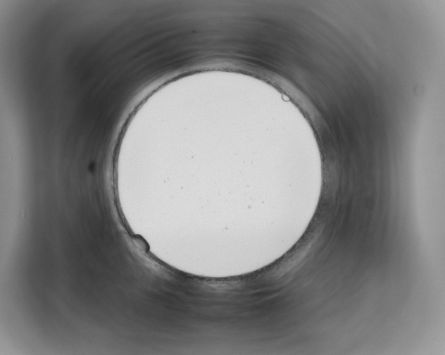 X0000111660951200908281107