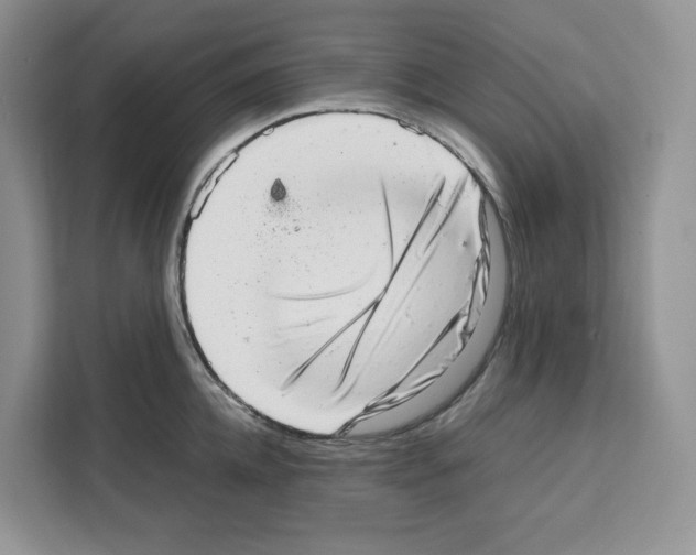 X0000111660952200908281107