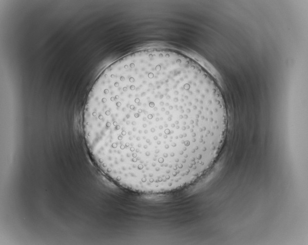 X0000111660953200908281107