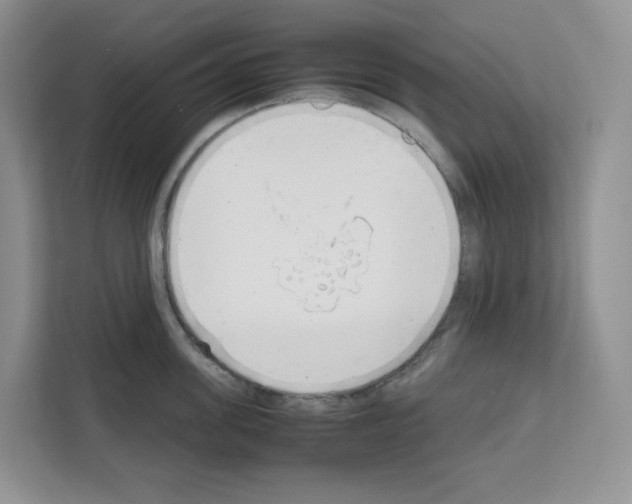 X0000111660955200908281107