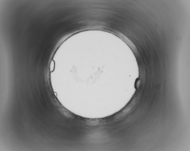 X0000111660956200908281107