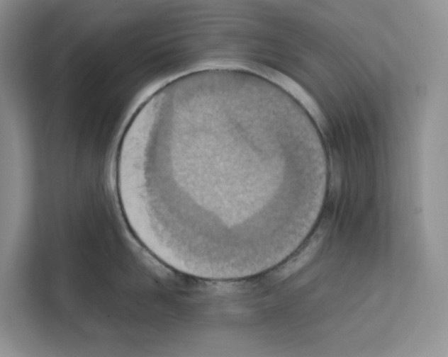 X0000111660958200908281107