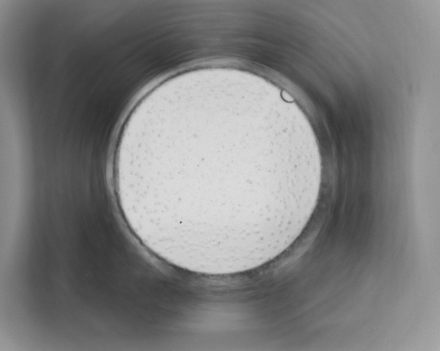 X0000111660959200908281107