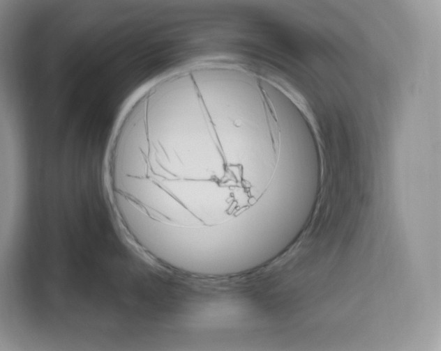 X0000111660960200908281107