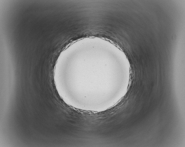 X0000111660961200908281106