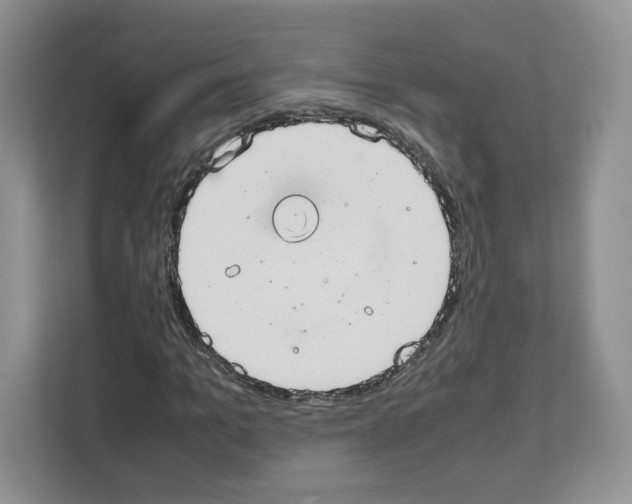 X0000111660965200908281106