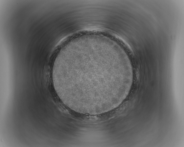 X0000111660968200908281106