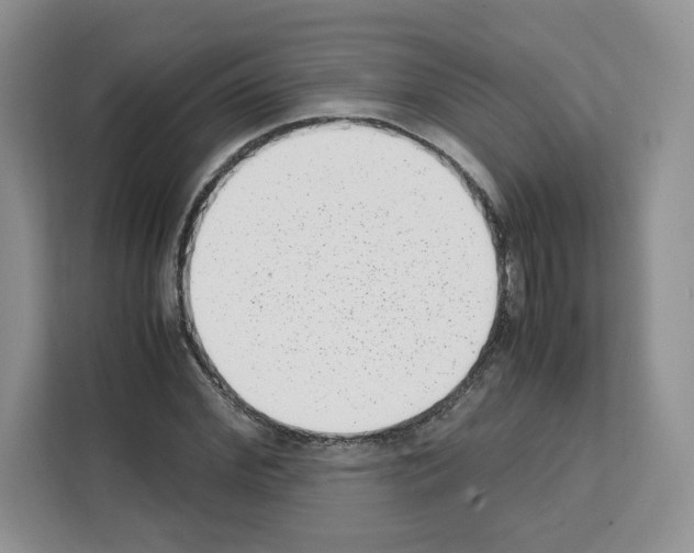 X0000111660972200908281106