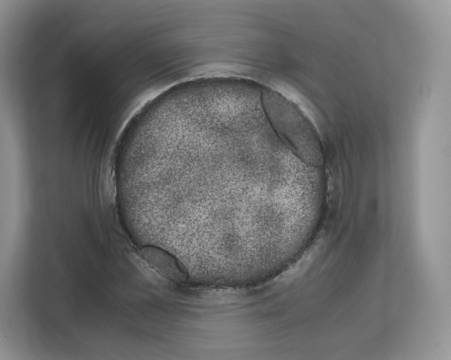 X0000111660973200908281106