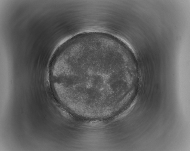 X0000111660974200908281106