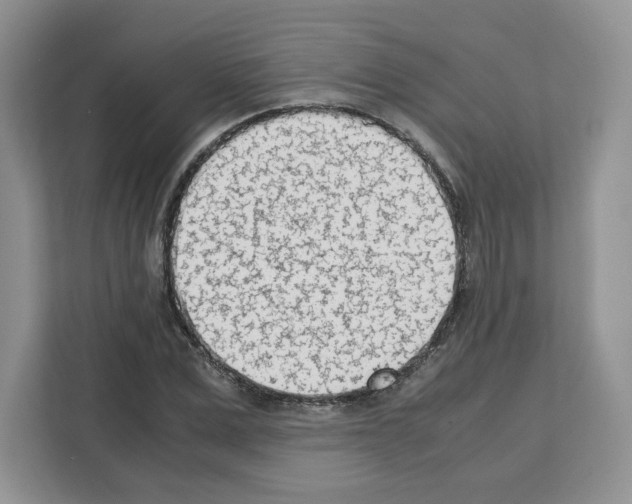 X0000111660975200908281106