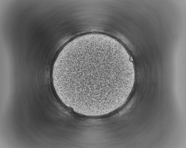 X0000111660977200908281106