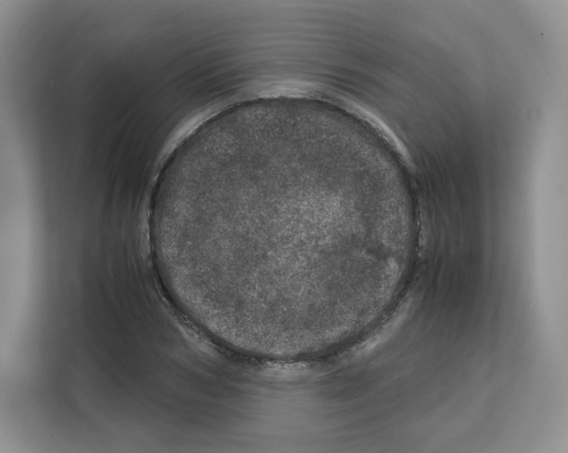 X0000111660978200908281106