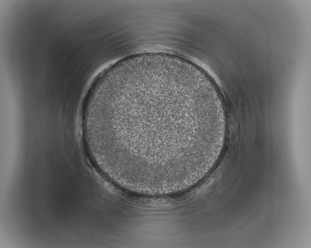 X0000111660979200908281106