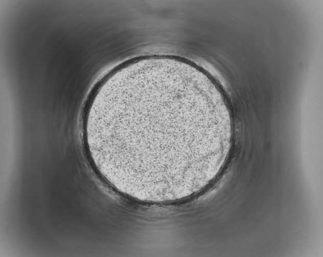 X0000111660981200908281106