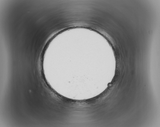 X0000111660983200908281106