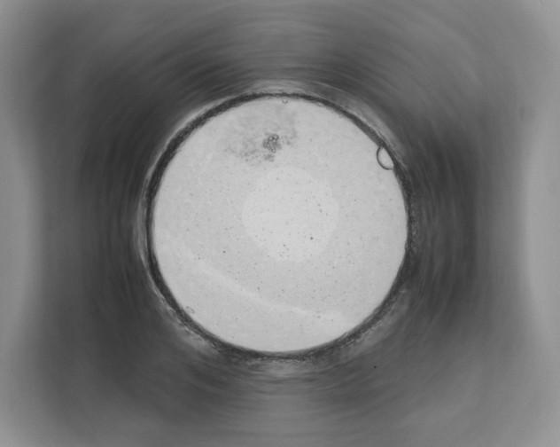 X0000111660984200908281106