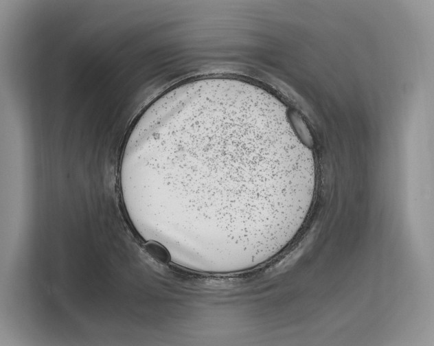 X0000111660985200908281106