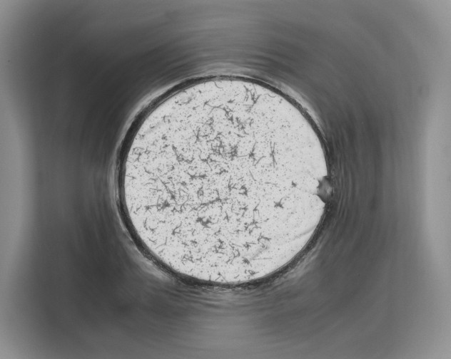 X0000111660987200908281106