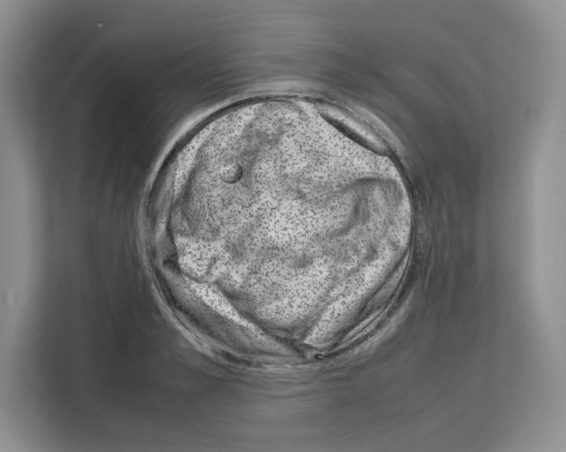 X0000111660989200908281106